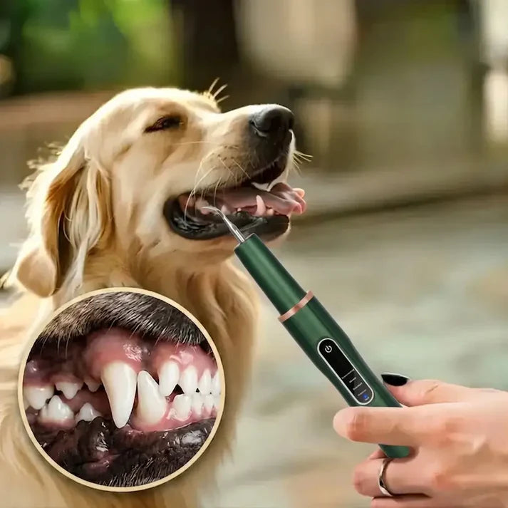 Dogs Tartar Remover, Teeth Cleaning Tool, Electric Ultrasonic