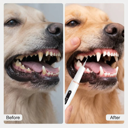 Dogs Tartar Remover, Teeth Cleaning Tool, Electric Ultrasonic