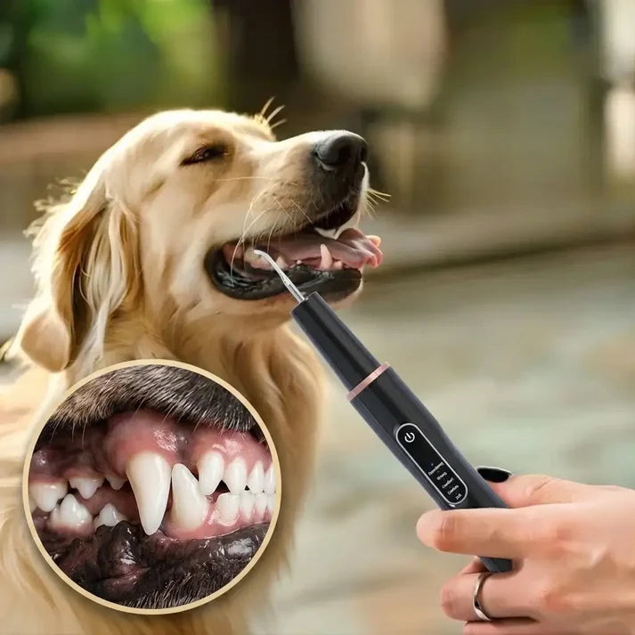 Dogs Tartar Remover, Teeth Cleaning Tool, Electric Ultrasonic