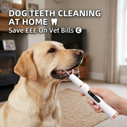 Dogs Tartar Remover, Teeth Cleaning Tool, Electric Ultrasonic